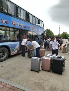 志愿服务不放假，爱在17再出发 公交高新技术信息网络点亮城市温度