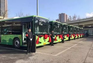 “空中巴士”驶入大高新 云轨示范线年底开通，重塑城市交通图景